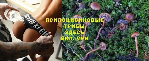 тгк Володарск