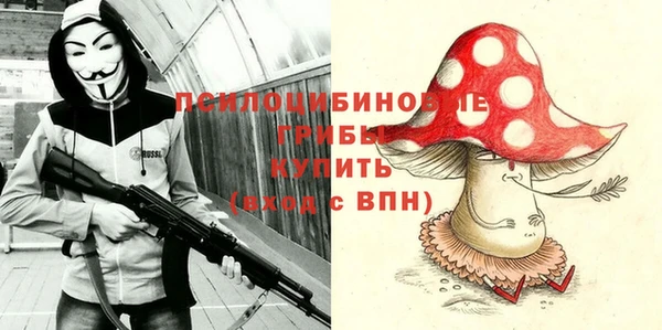 ALPHA-PVP Вяземский